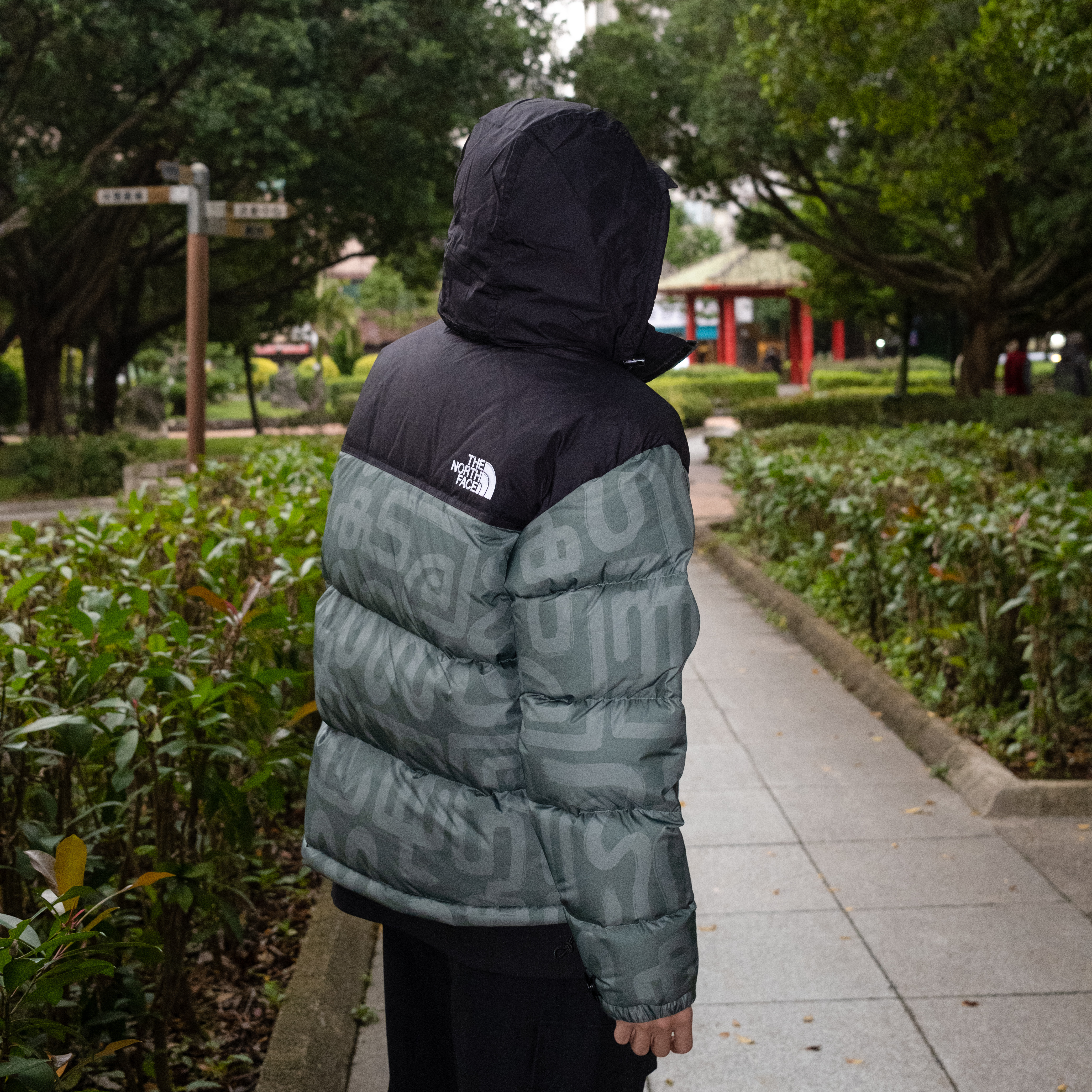 THE NORTH FACE M 1996 RETRO NUPTSE JACKET 蛇年 圖騰 男款 防潑水 鵝絨外套-NF0A3C8D 綠色(88D)