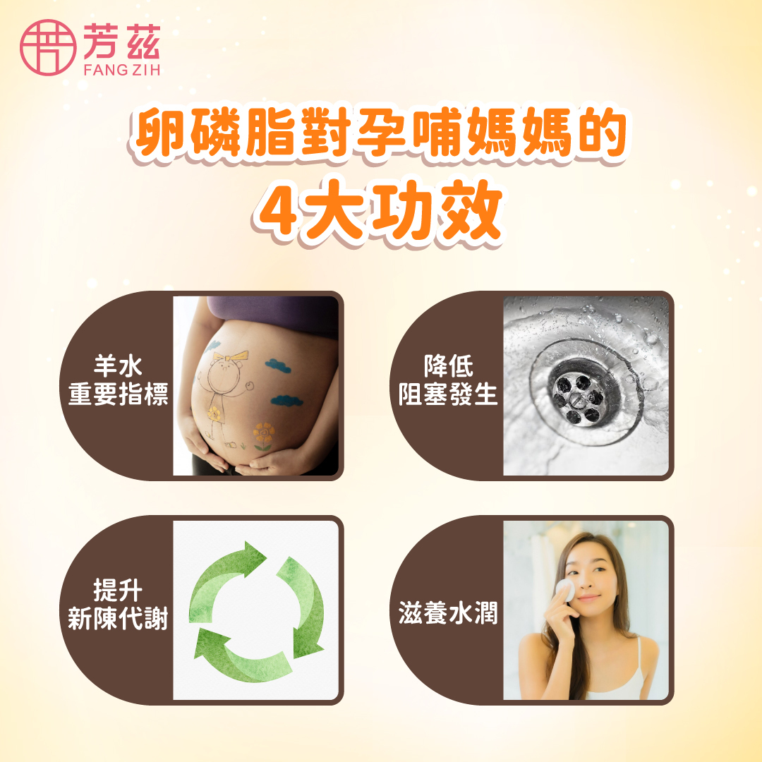 懷孕哺乳缺不得! 一篇了解卵磷脂4大功效、DIY料理推薦