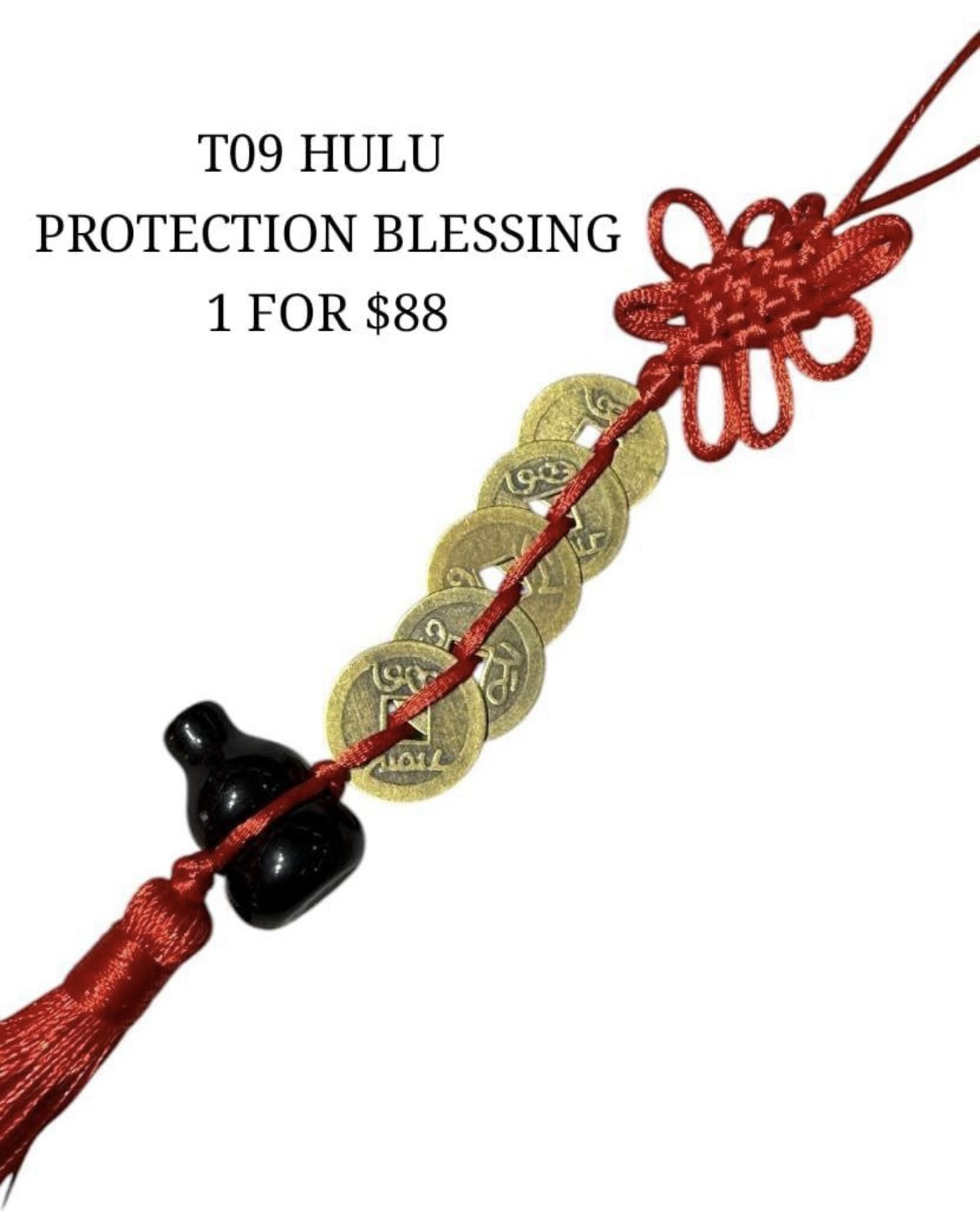 1 T09 HULU PROTECTION BLESSING
