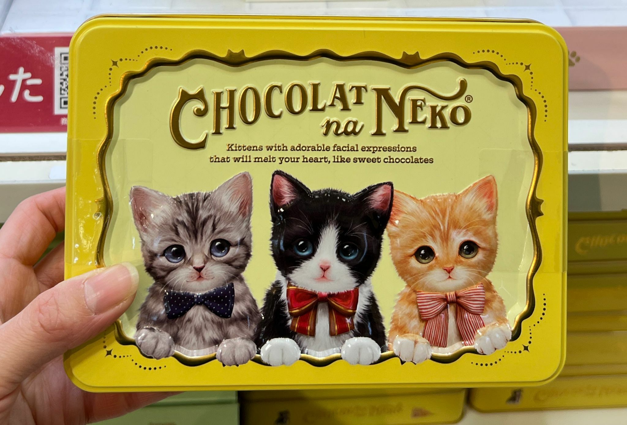 【日本預訂】 E0115102 CHOCOLAT na NEKO 情人節限定 雜錦三隻小貓朱古力