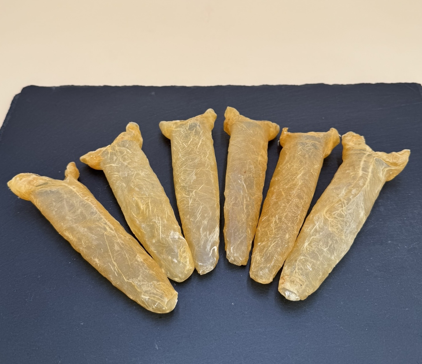 72頭非洲花膠筒