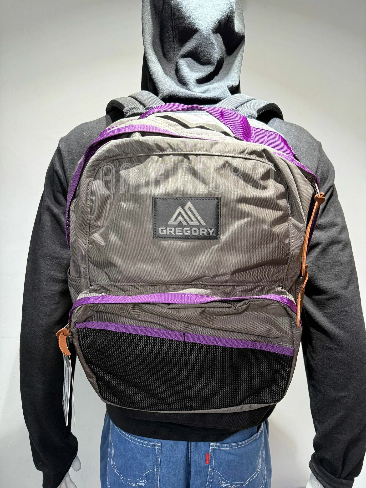 Gregory Campus Day M grey/purple