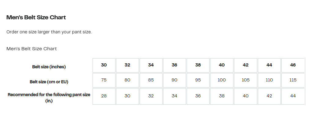 【預購】True Religion Brand Jeans G011522 男裝皮帶