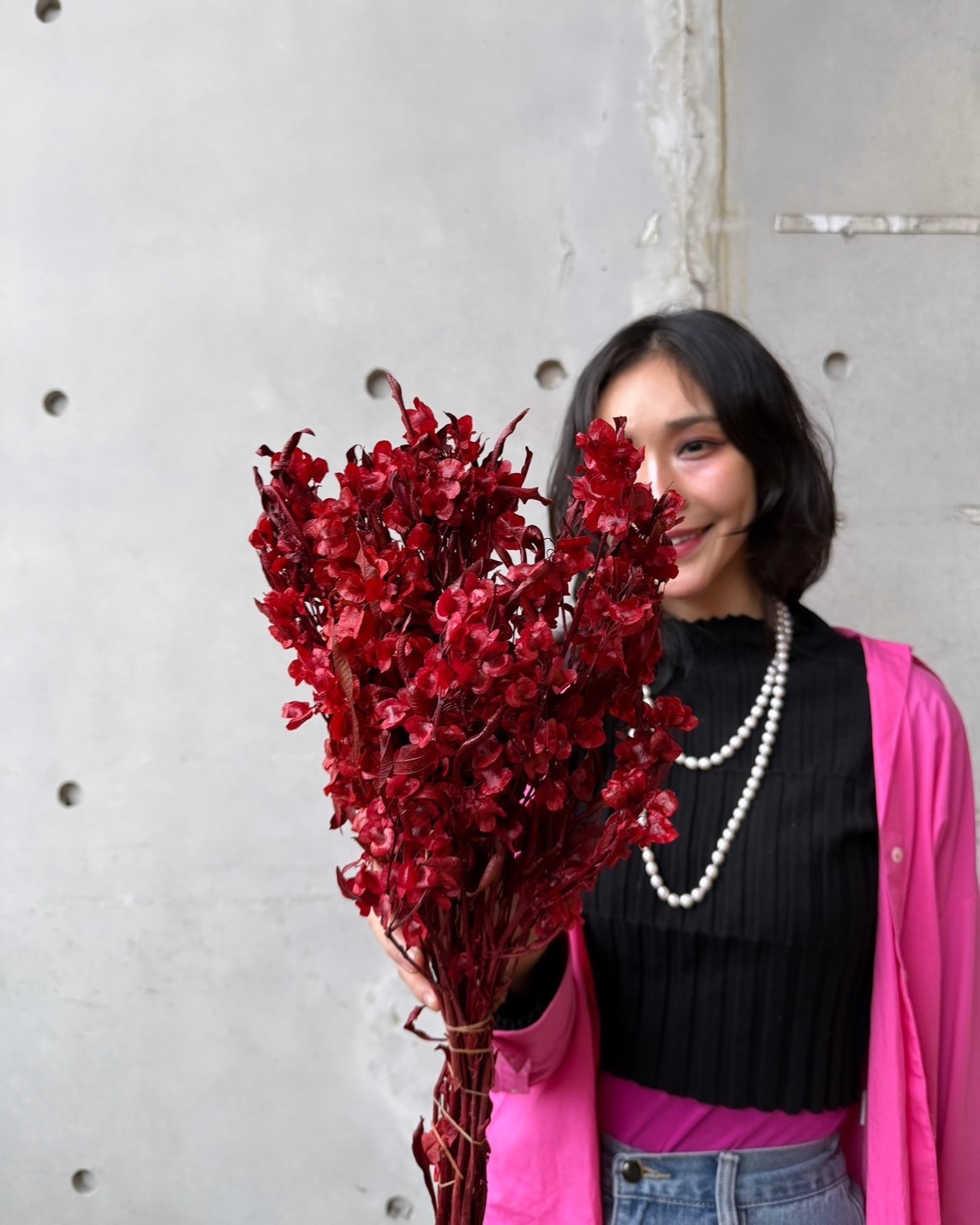 永生蝴蝶花（多色）