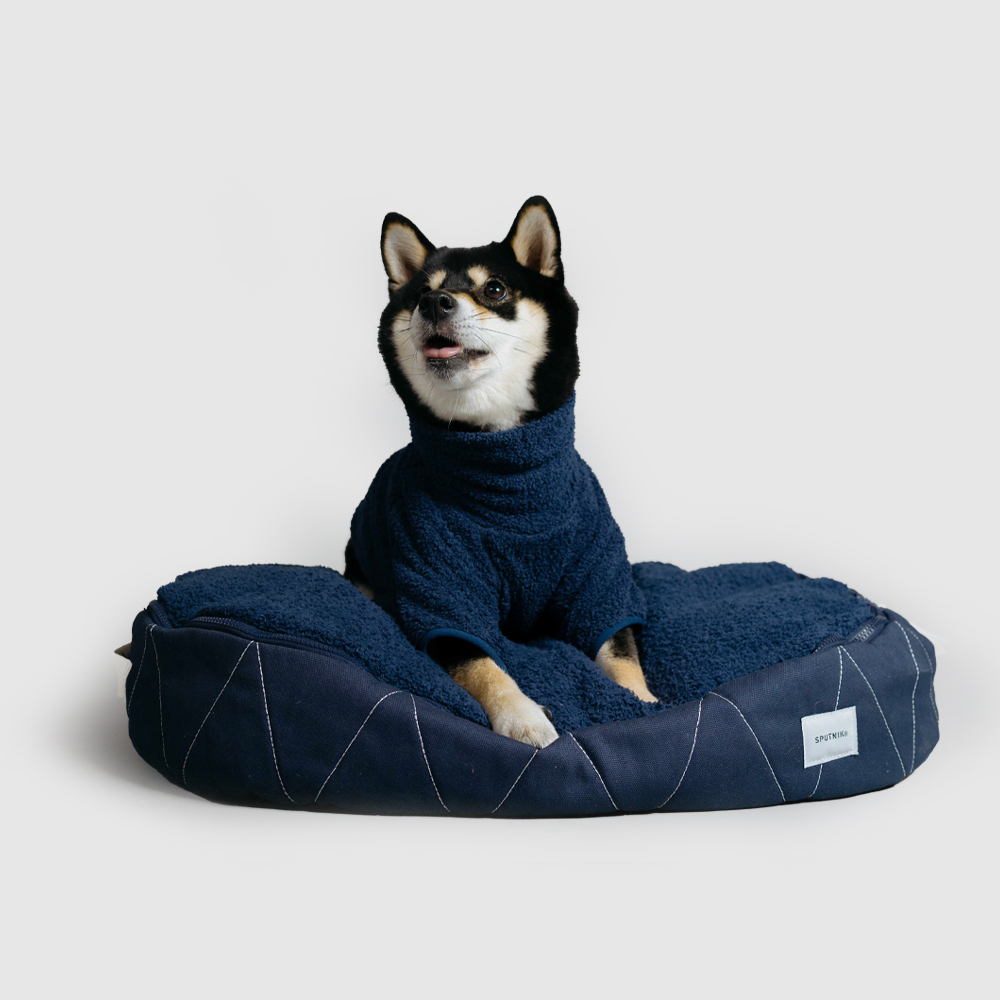 URBAN RESEARCH 聯名︱寵物床