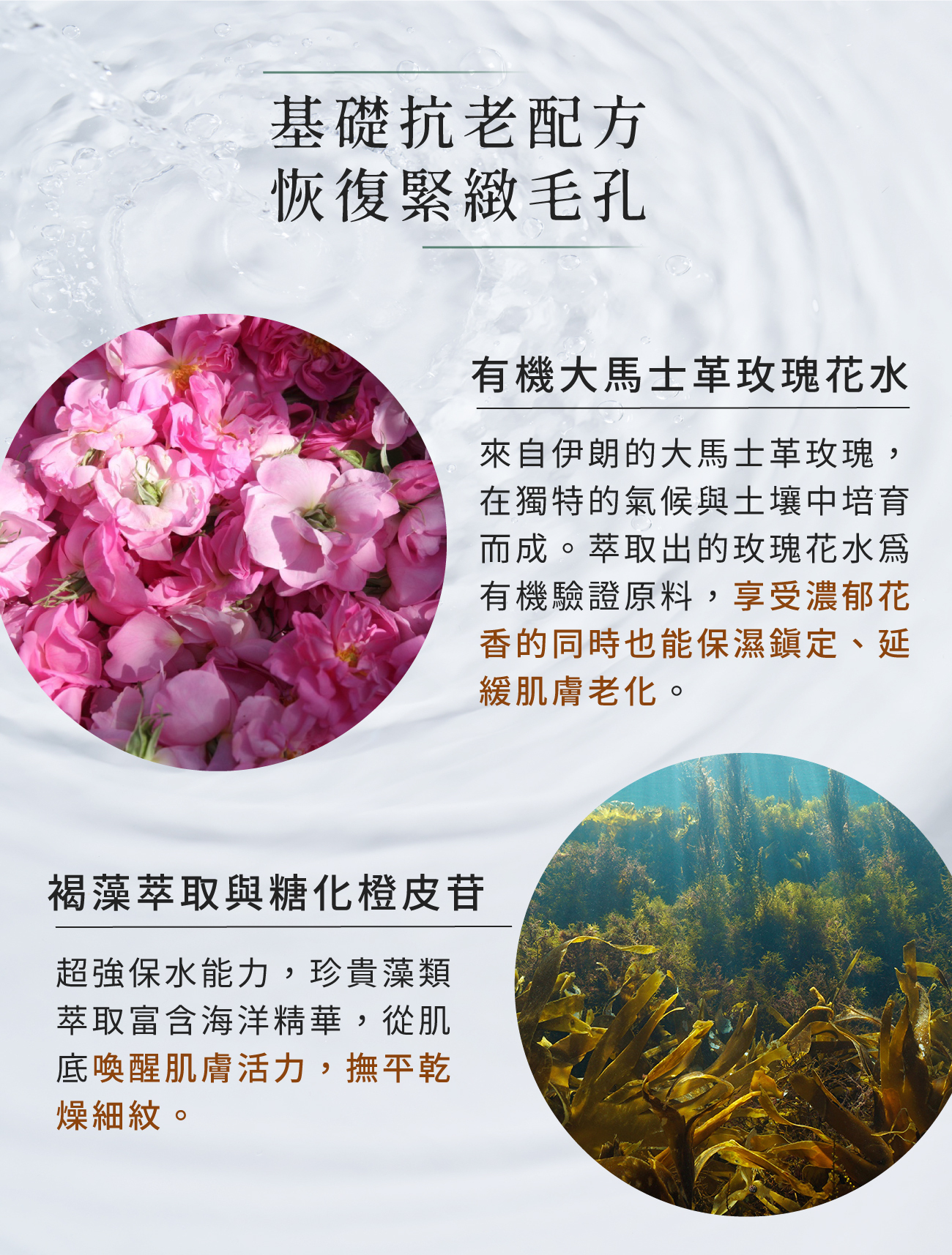 基礎抗老配方恢復肌膚彈性