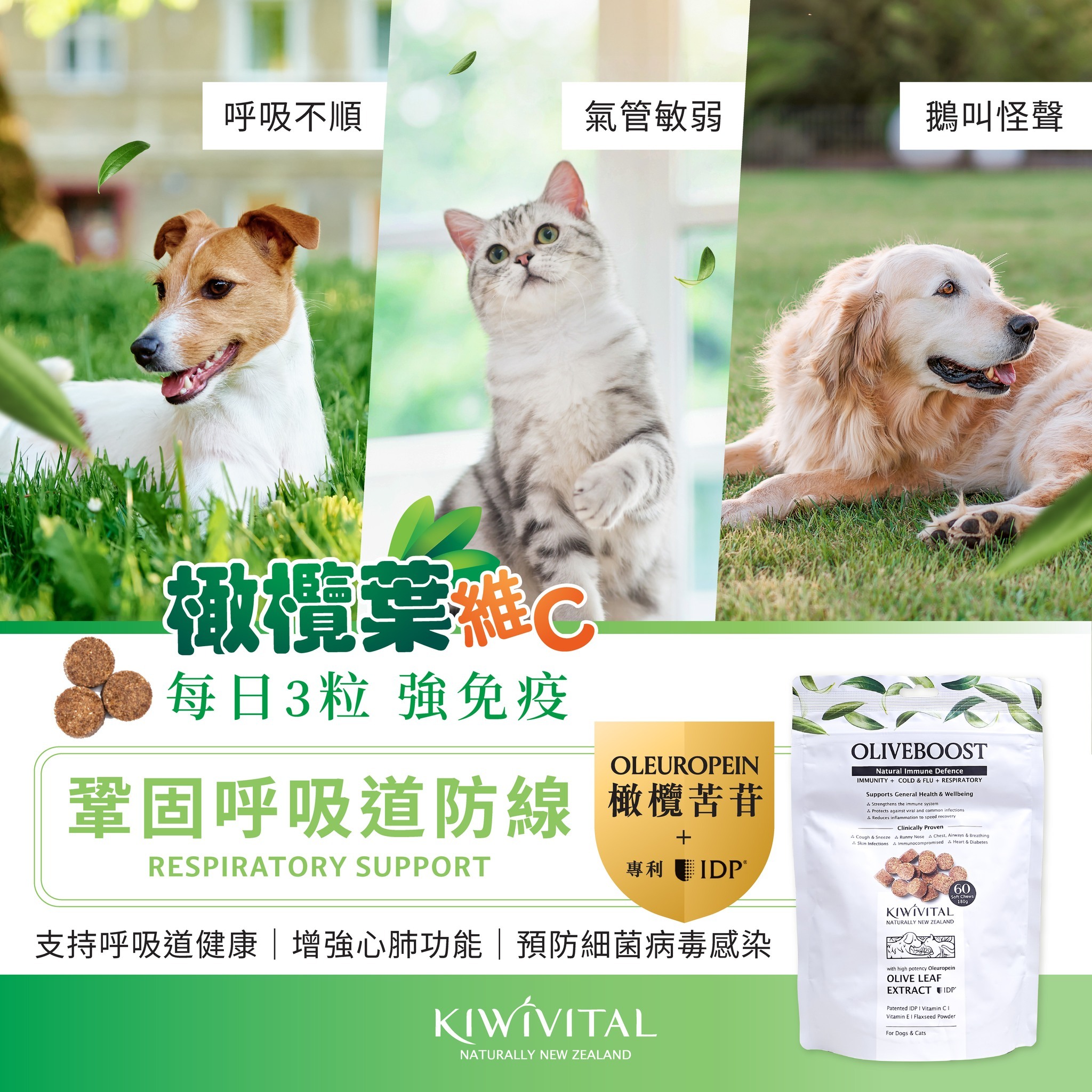 Kiwivital OliveBoost Natural Immune Defence for Pets 60 soft chew