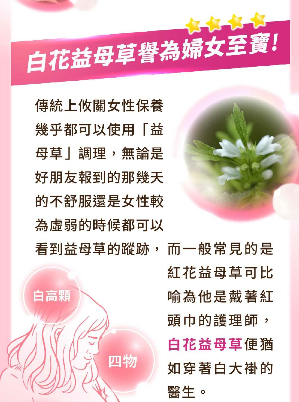 白花益母草