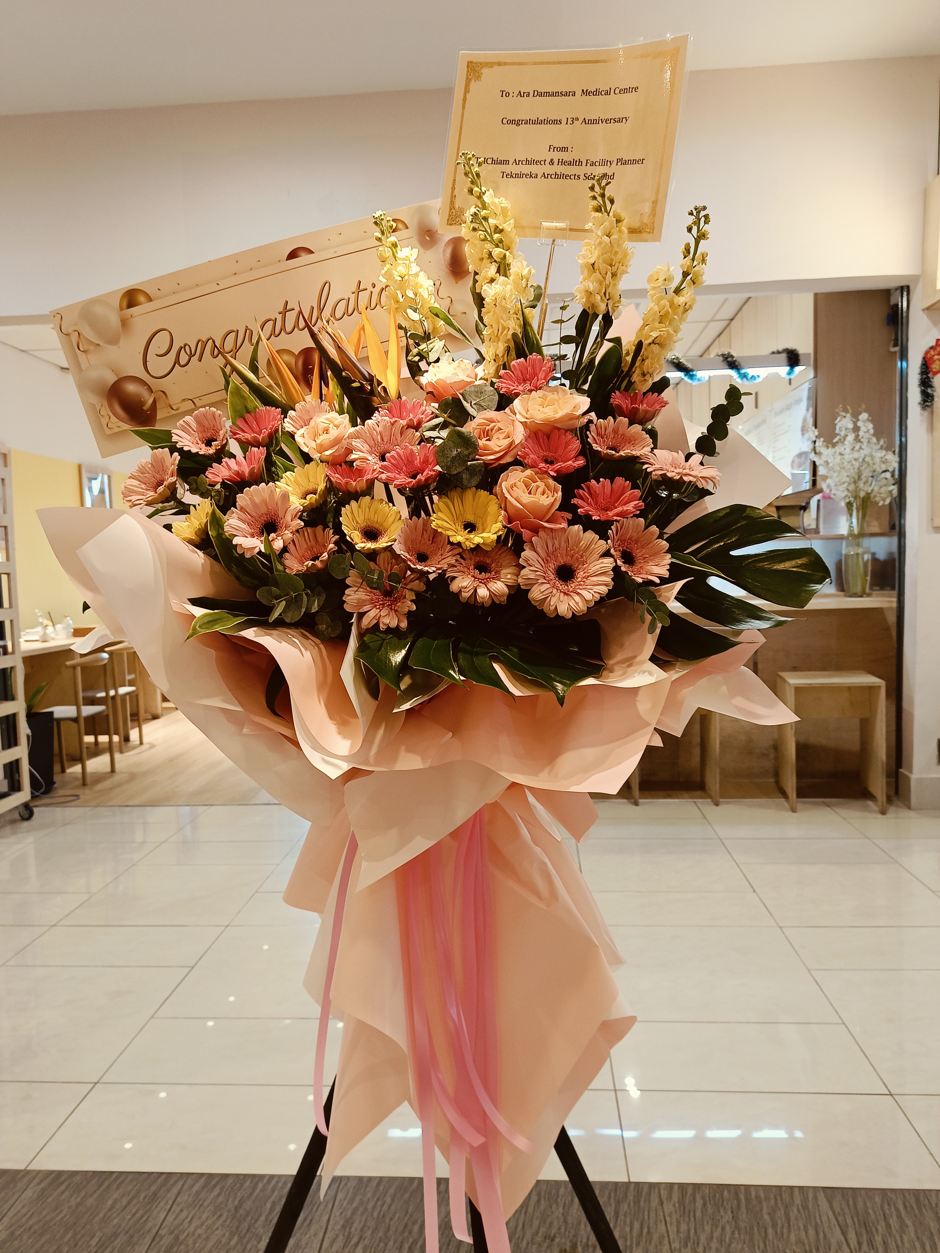 Grand Opening - GO46