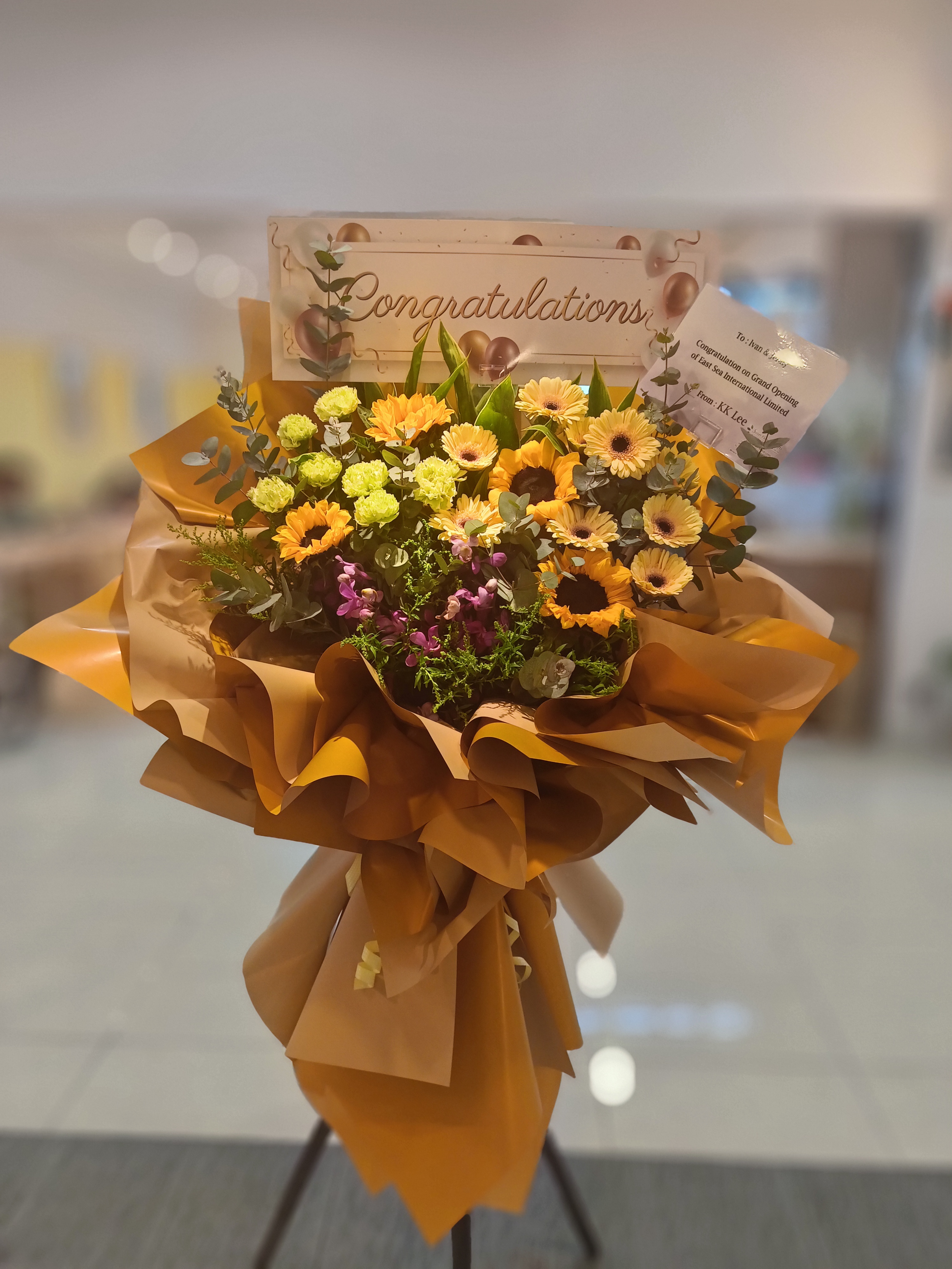 Grand Opening - GO42