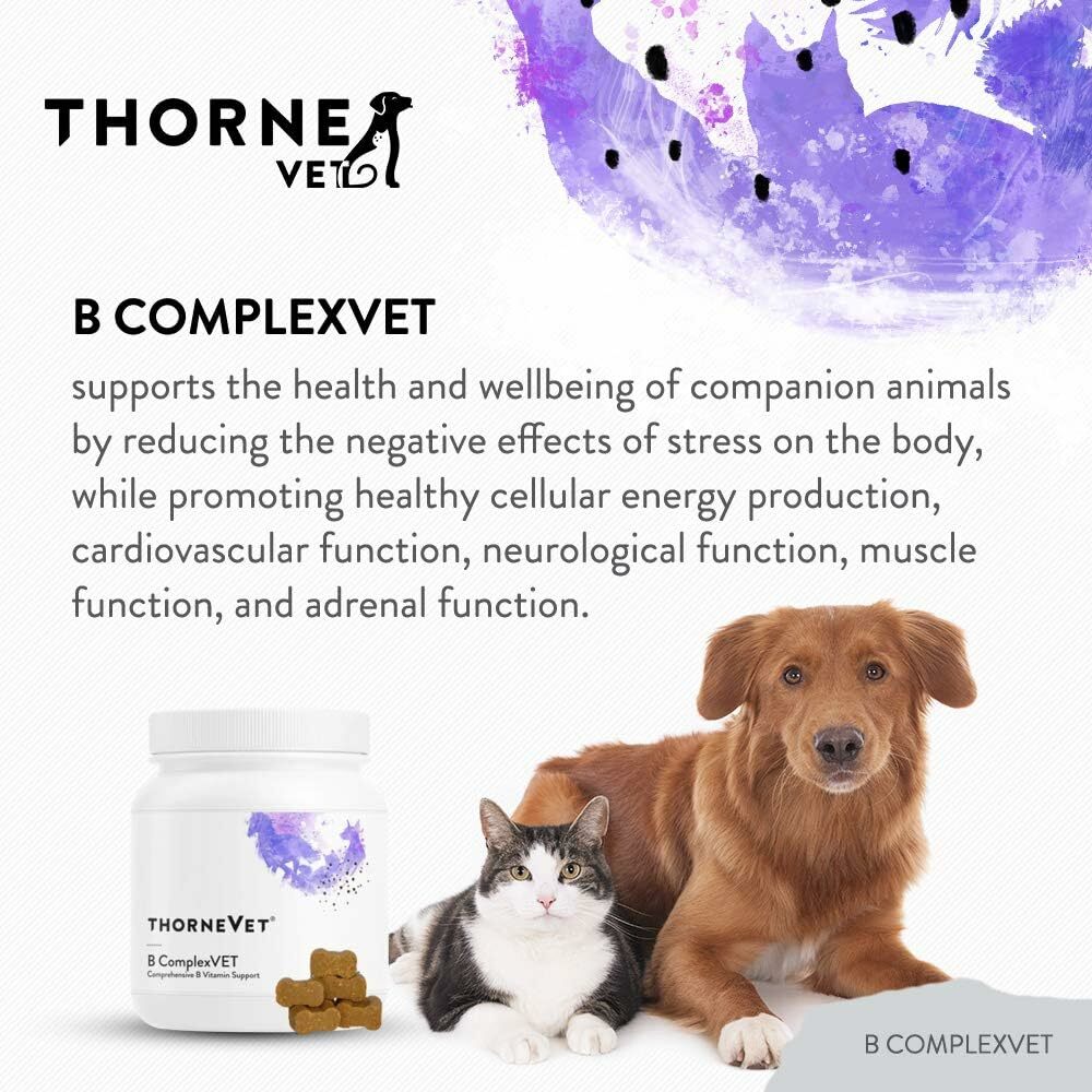 ThorneVet B ComplexVet 60 Soft Chews (Cats & Dog & Horse)
