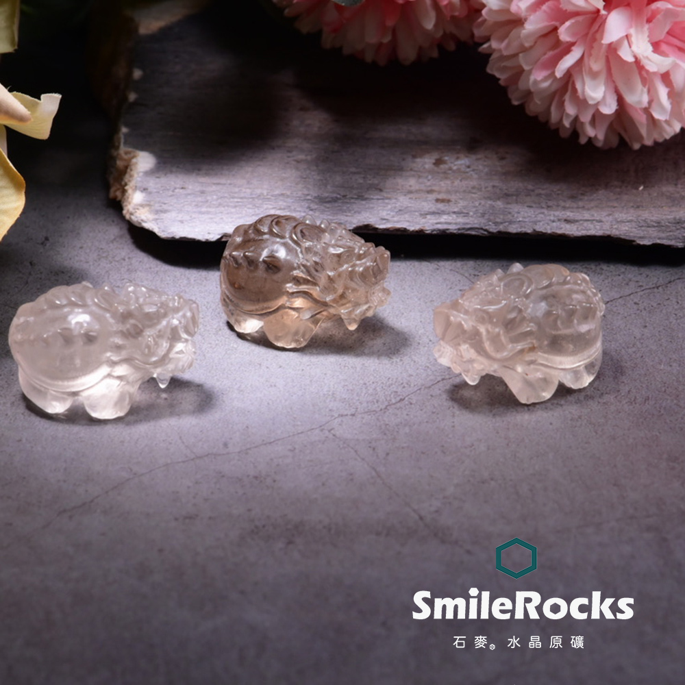 【石麥SmileRocks】茶黃晶戰龜