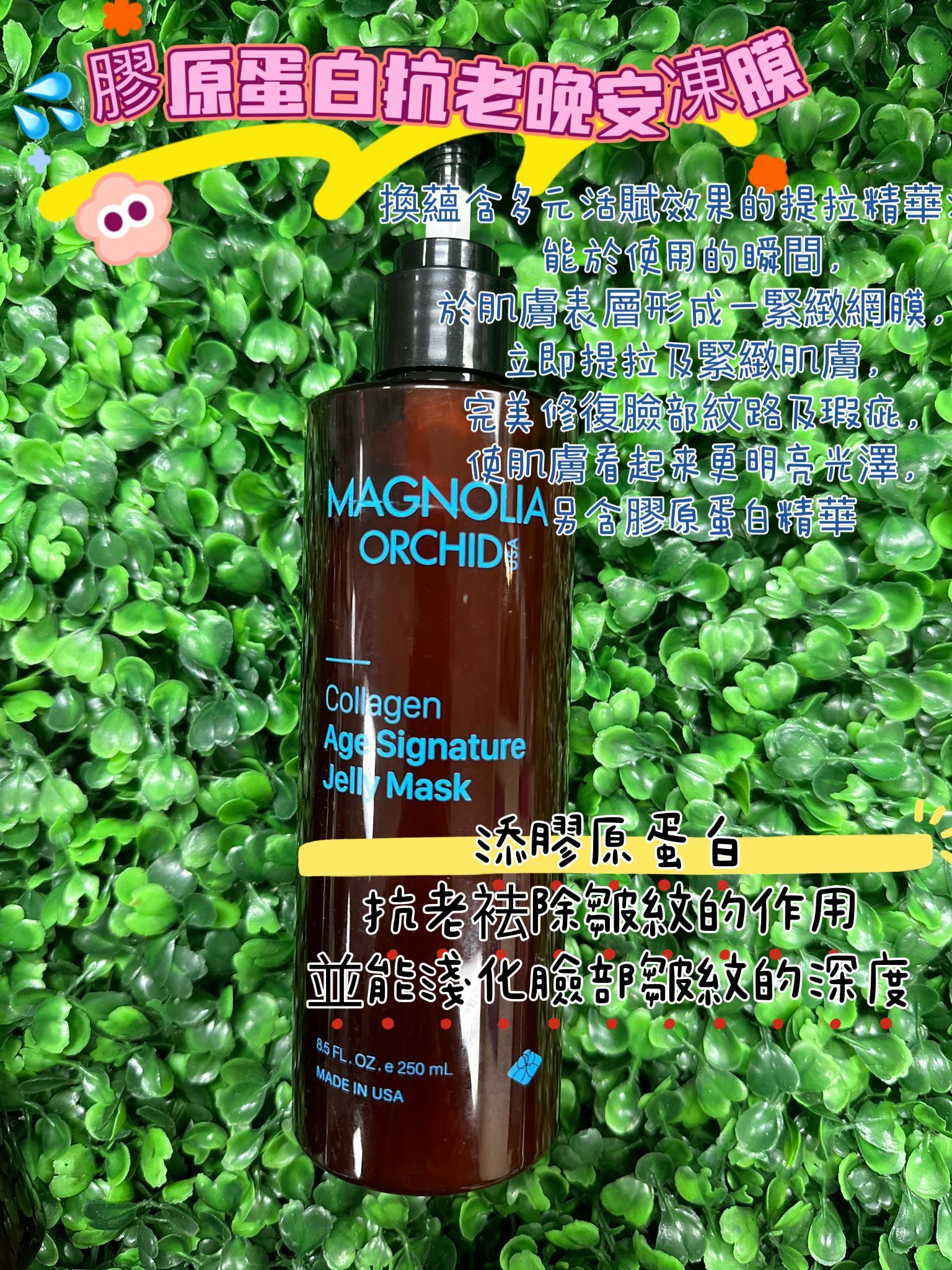【現貨】Magnolia Orchid L031206 晚安凍膜 250ML