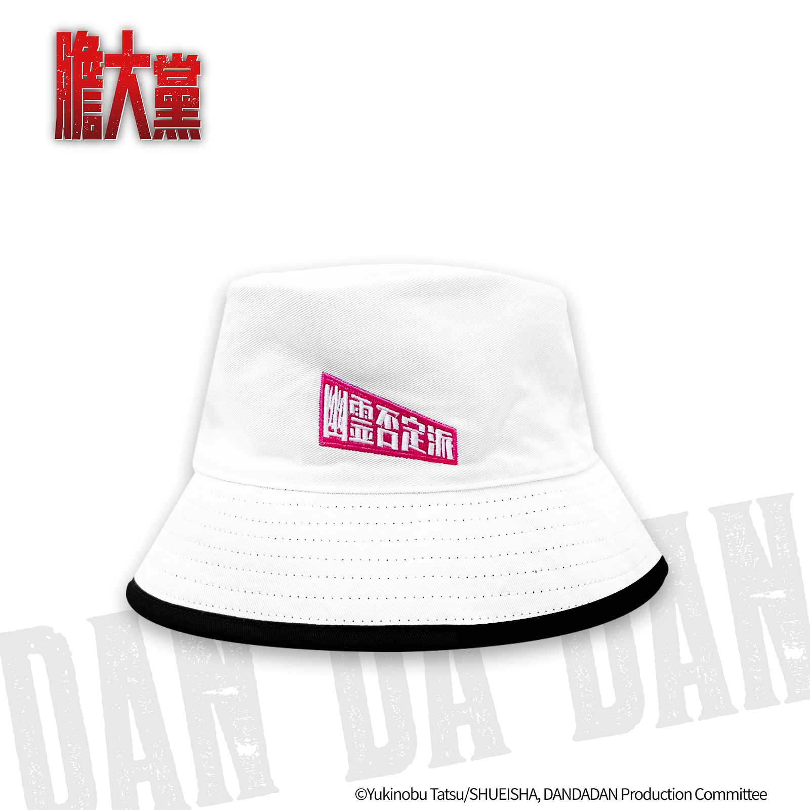 膽大黨-雙面漁夫帽-幽靈否定派&宇宙人否定派