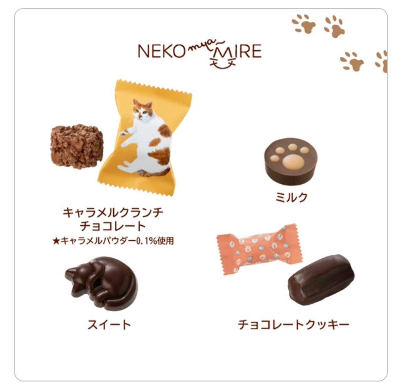 【日本預訂】 E0117106 Neko Myamire情人節限定 貓貓造型朱古力禮盒