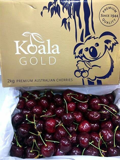 澳洲Koala 金樹熊 車厘子 (30~32mm)  1kg裝