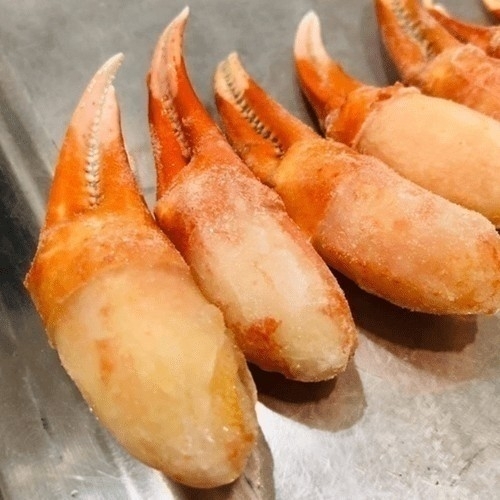 熟凍松葉蟹鉗