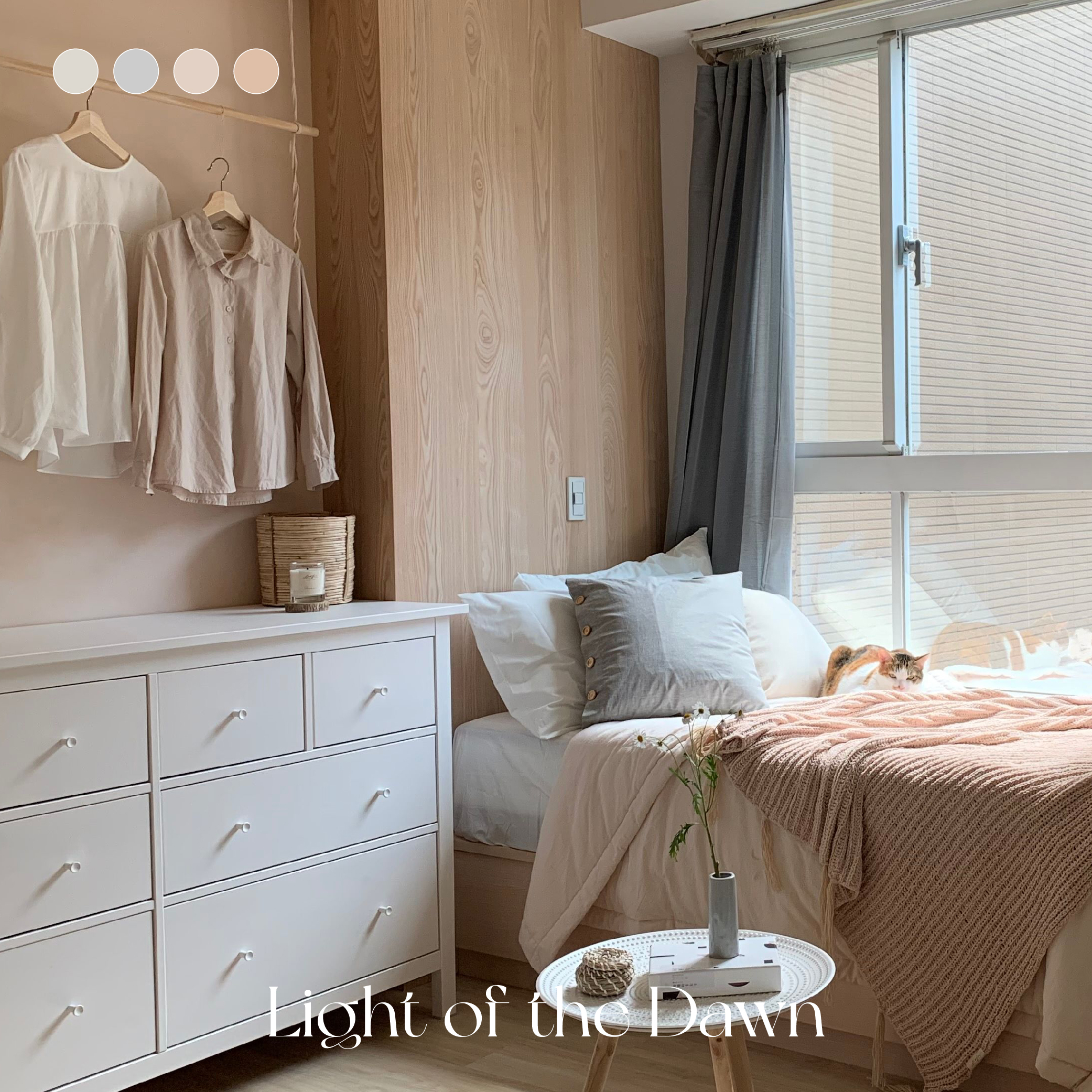 微光晨曦 Light of the Dawn｜風格油漆