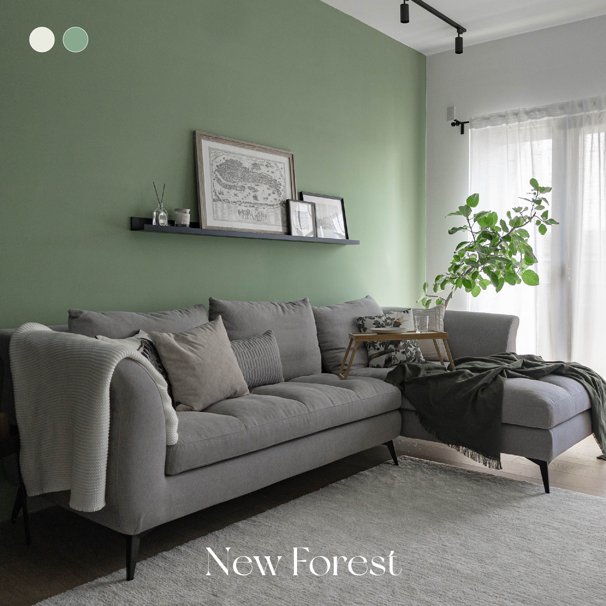 徐徐新日常 New Forest｜風格油漆