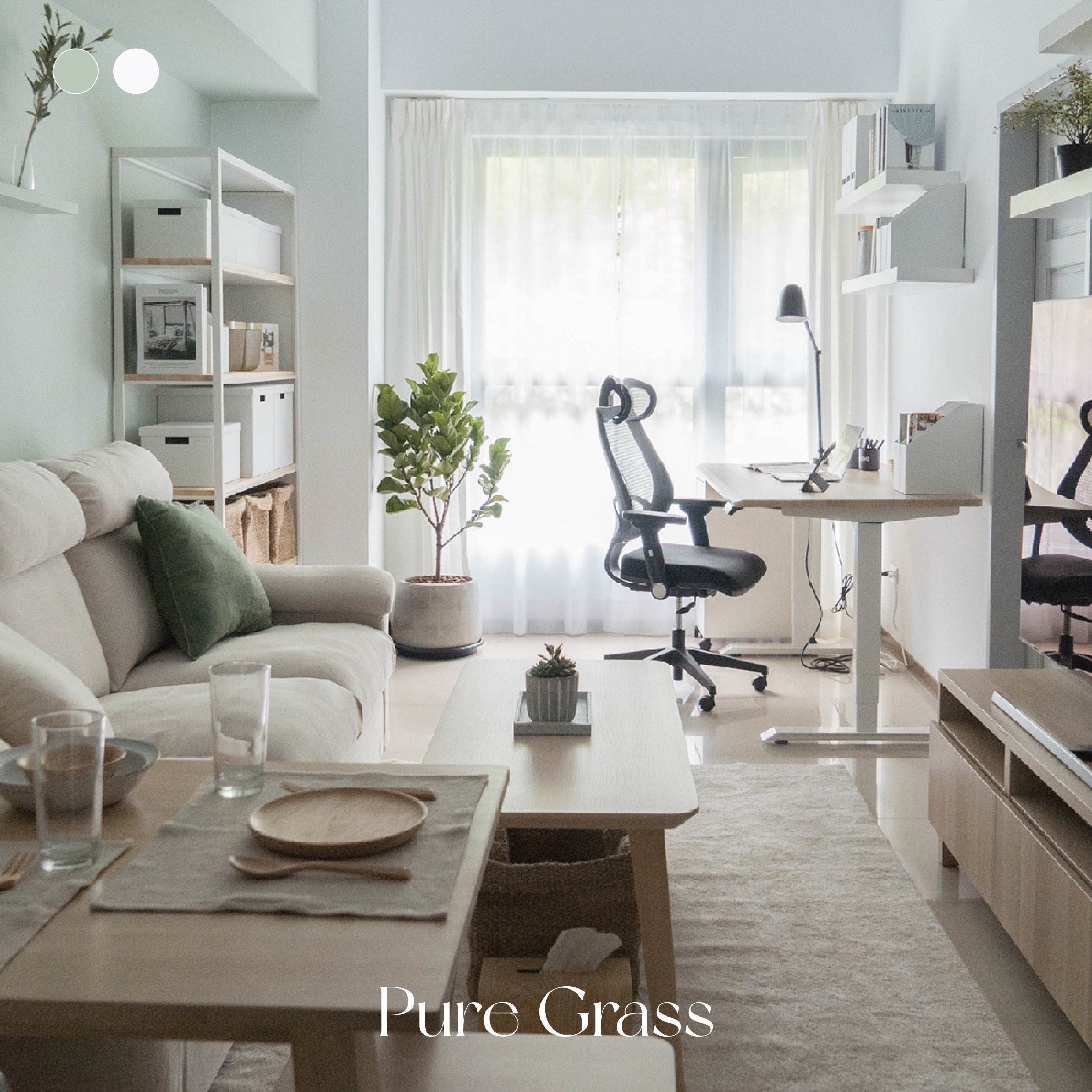 清新草原 Pure Grass｜風格油漆