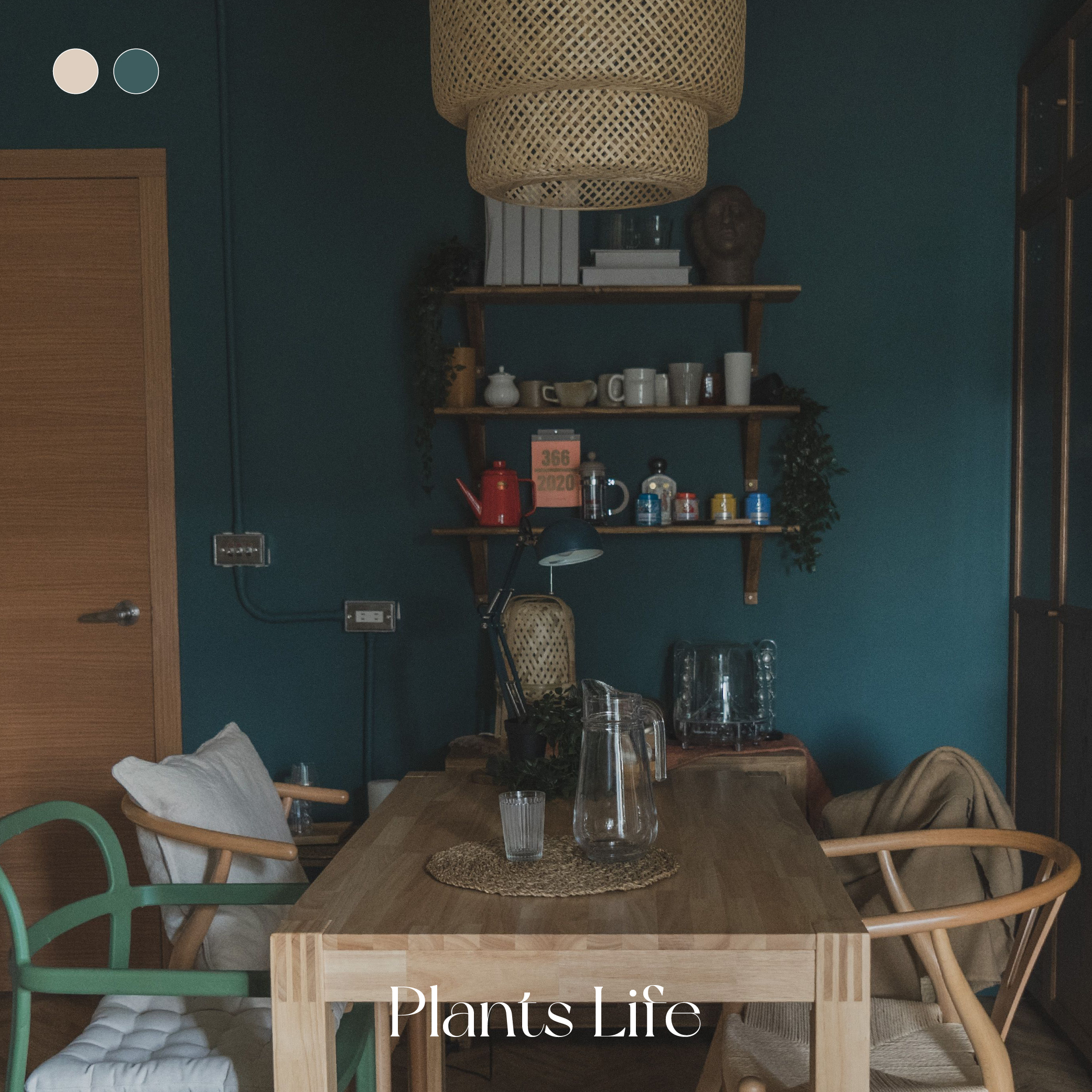 植與日常咖啡 Plants Life｜風格油漆