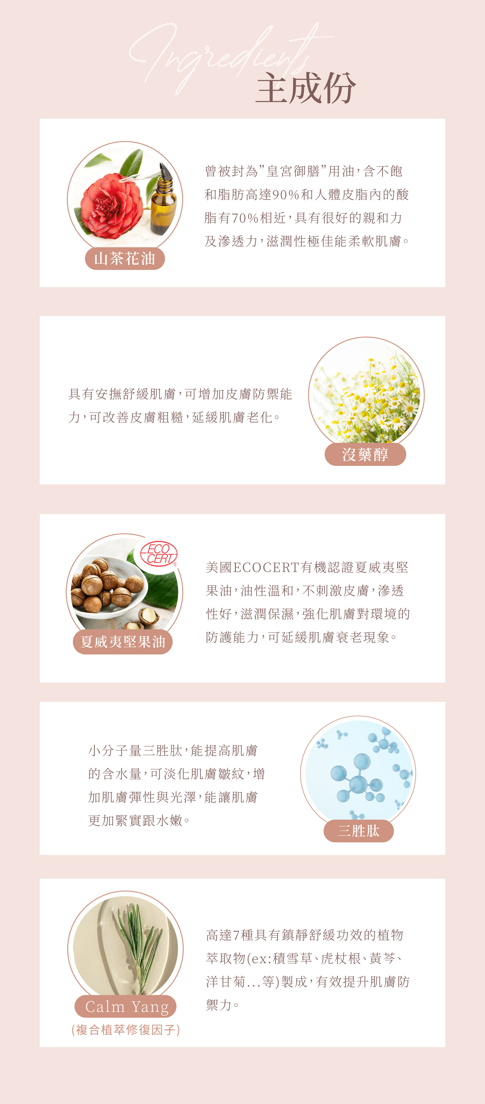 CoreSence 山茶花系列