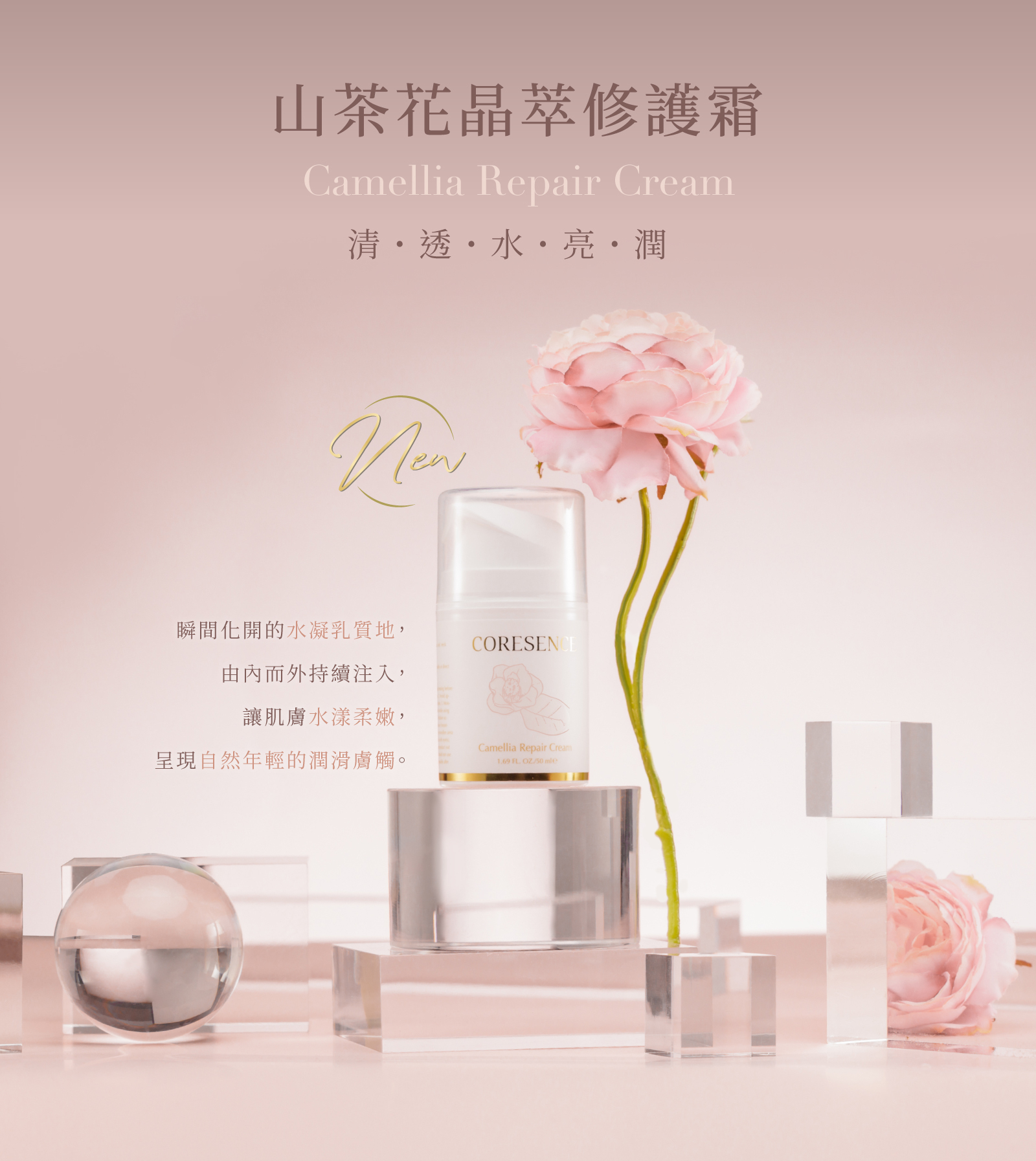 CoreSence 山茶花系列