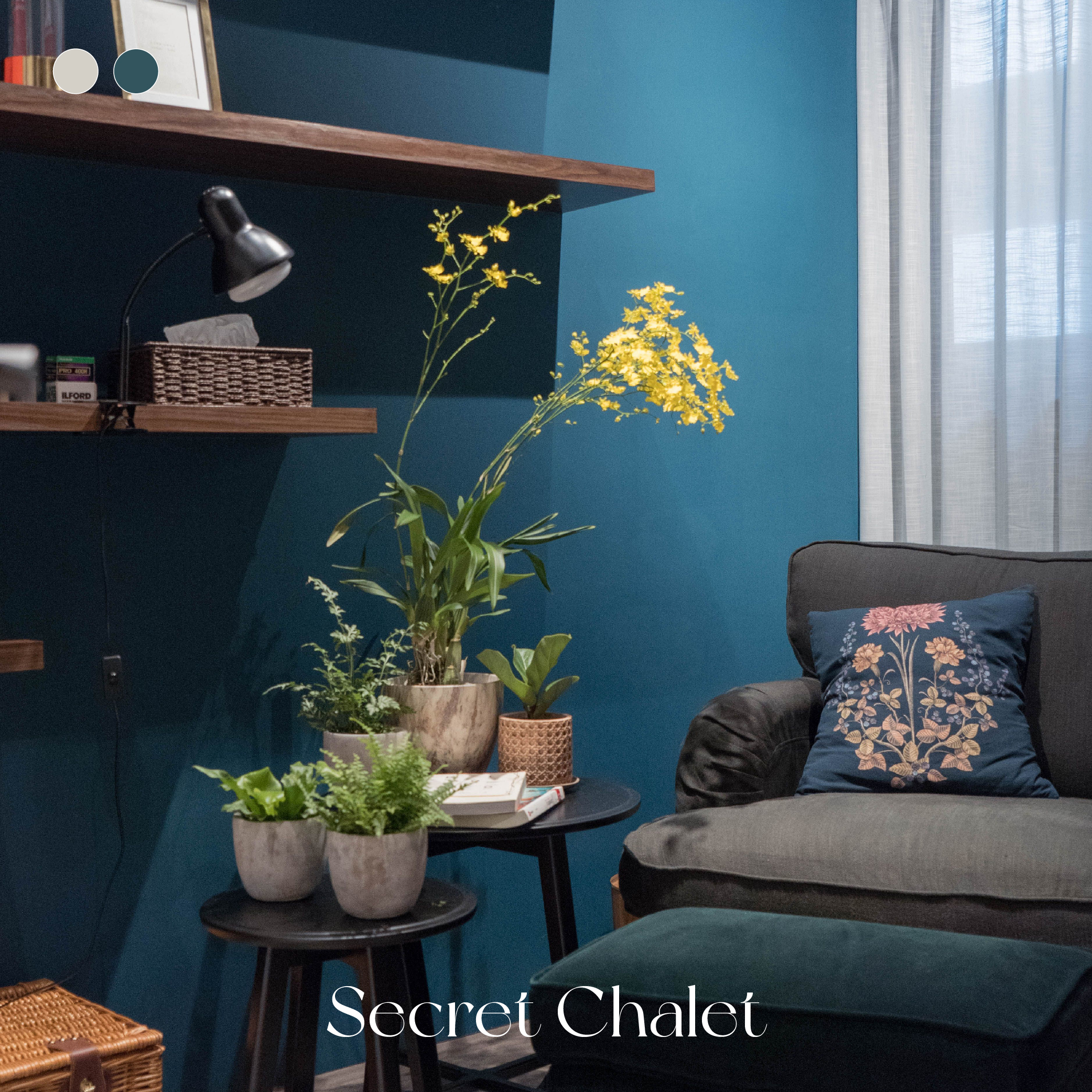 深海木屋 Secret Chalet｜風格油漆