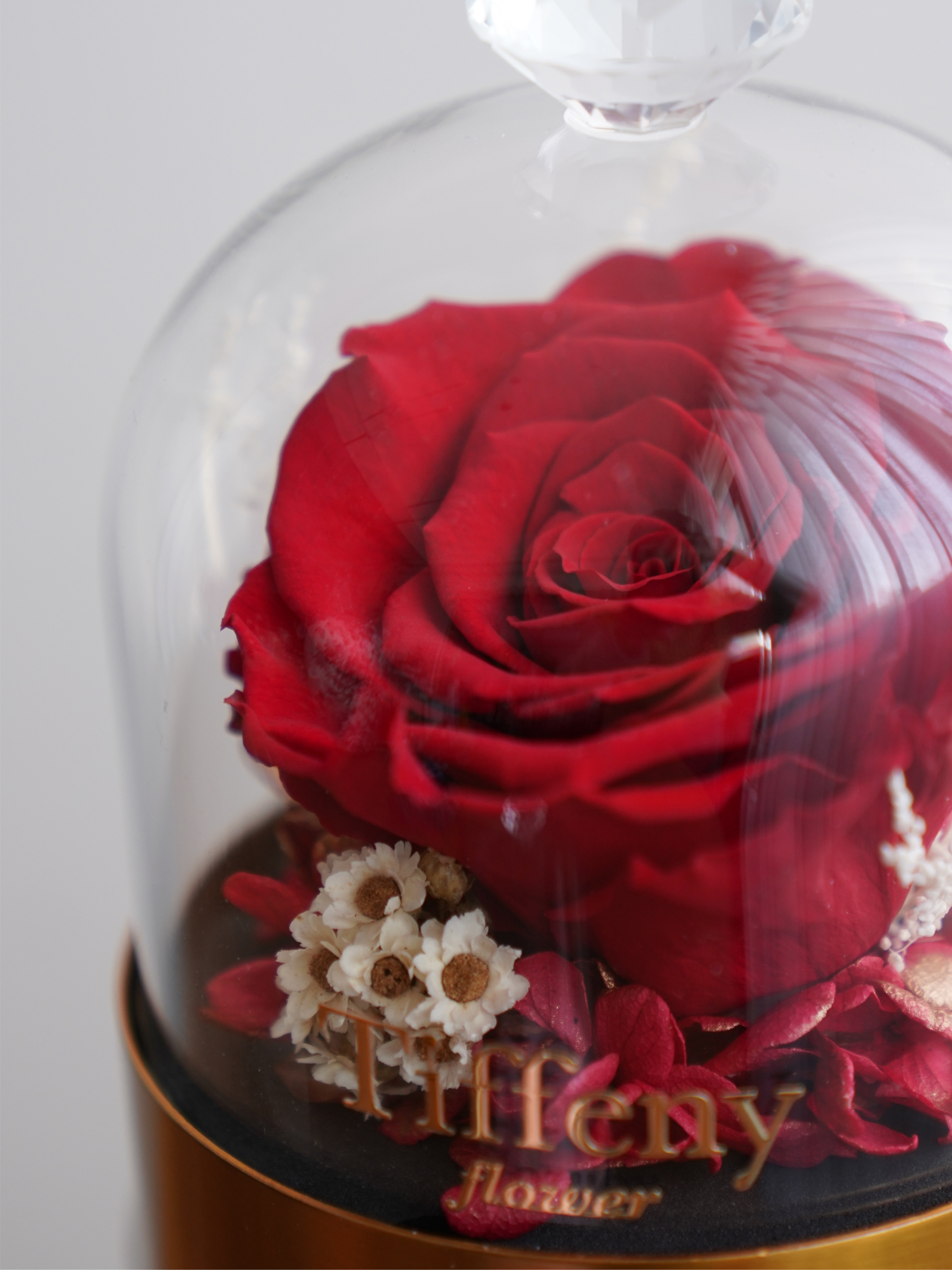 一心ㄧ意永生玻璃罩 / MINI /