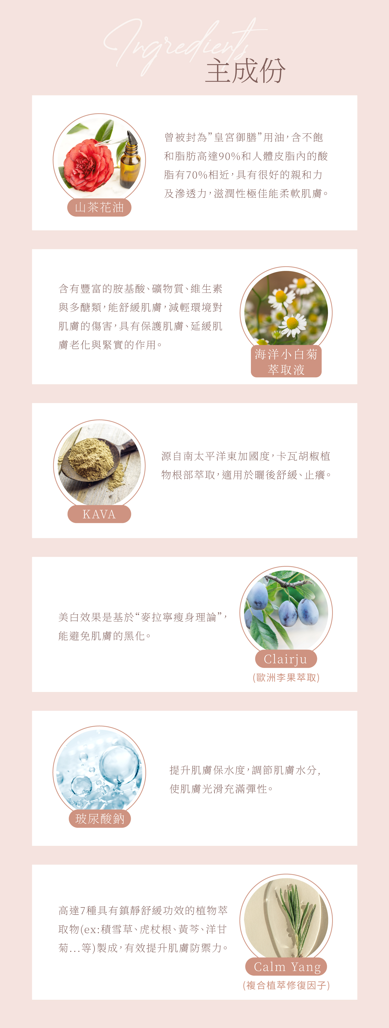 CoreSence 蔻仙詩 山茶花系列