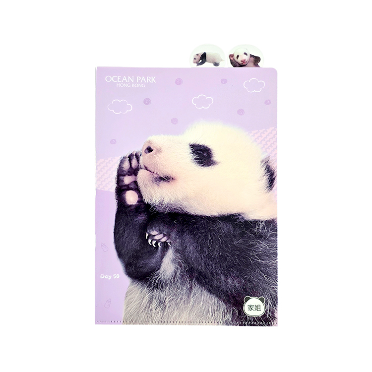 Elder Sister "Jia Jia" A4 Index Folder