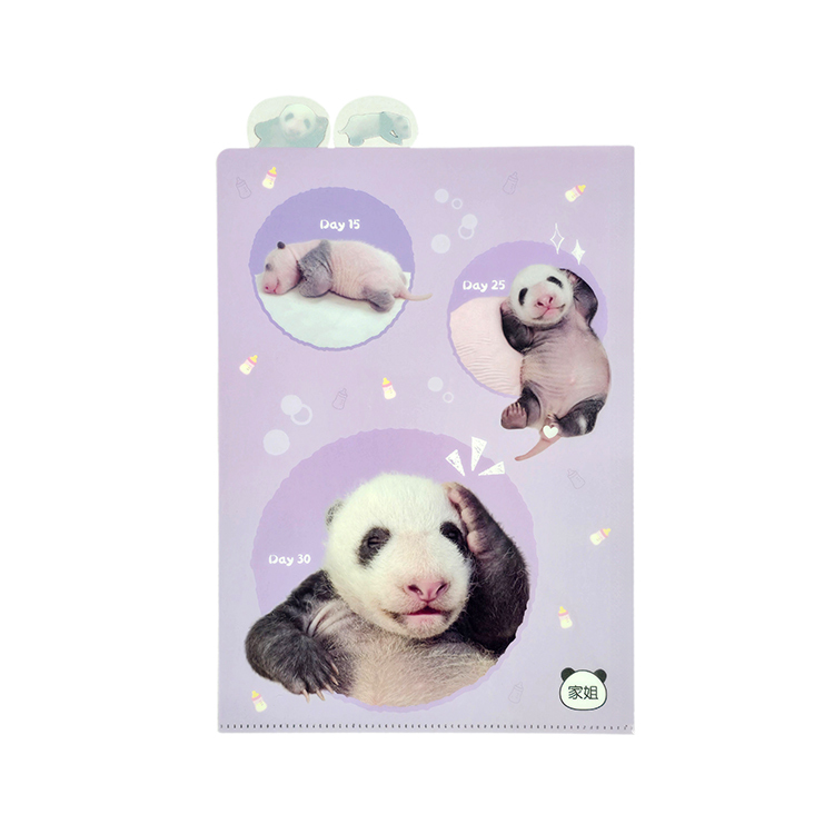 Elder Sister "Jia Jia" A4 Index Folder