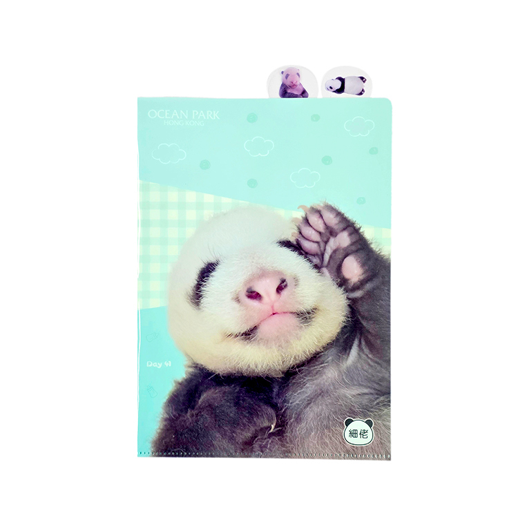 Little Brother "De De" A4 Index Folder