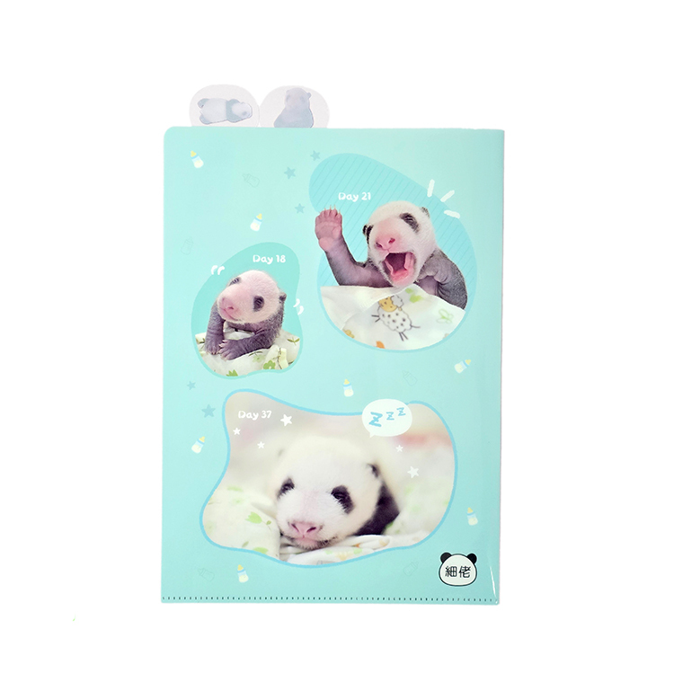 Little Brother "De De" A4 Index Folder