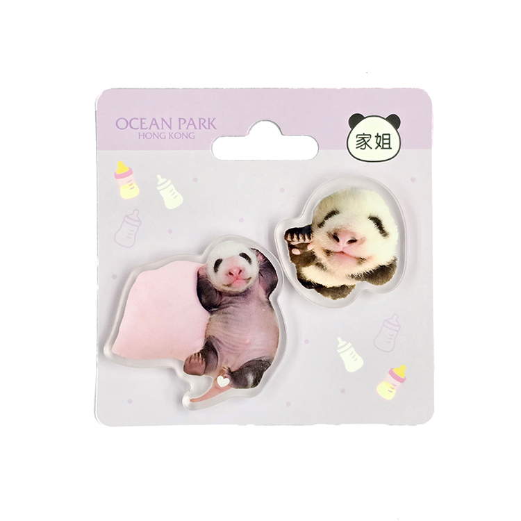 Acrylic magnet 2pcs Set - Elder Sister "Jia Jia"
