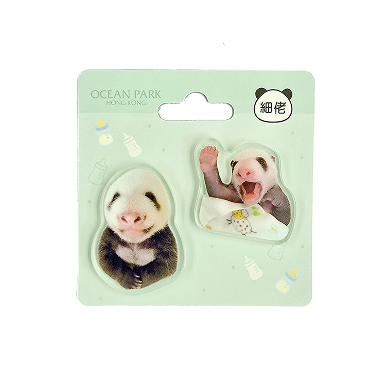 Acrylic magnet 2pcs Set - Little Brother "De De"