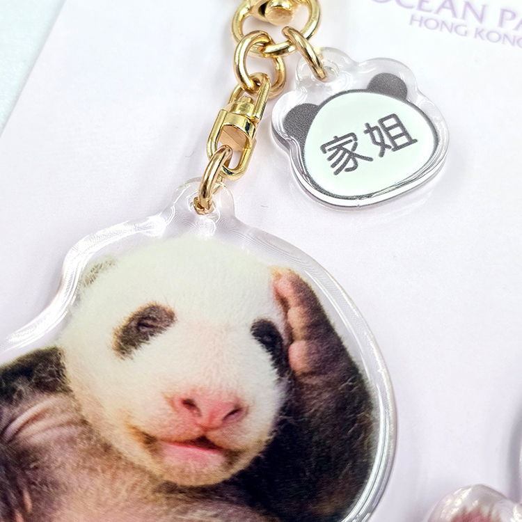 Acrylic keychain 2pcs Set – Elder Sister "Jia Jia"