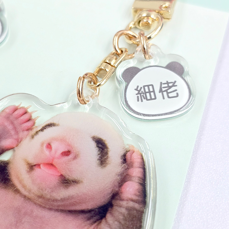 Acrylic keychain 2pcs Set – Little Brother "De De"