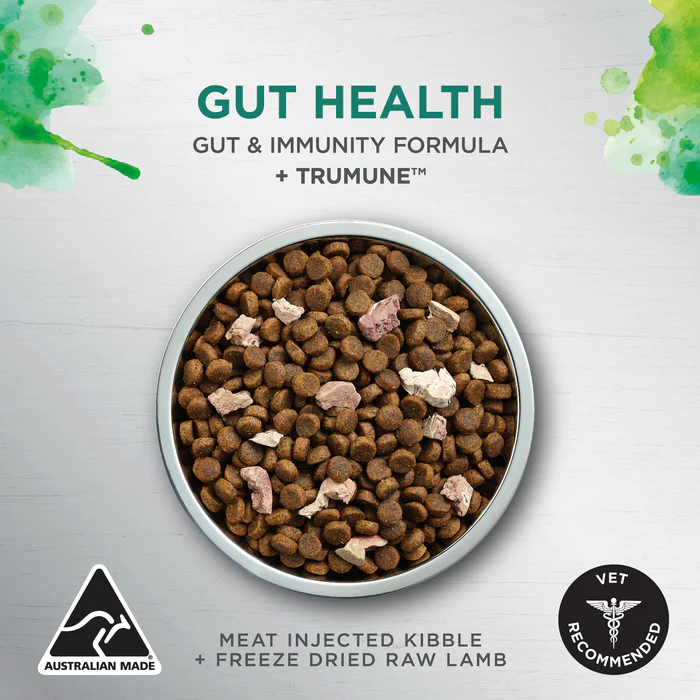 Ivory Coat Gut Health Chicken with Freeze Dried Raw Lamb Adult Dog 1.8kg