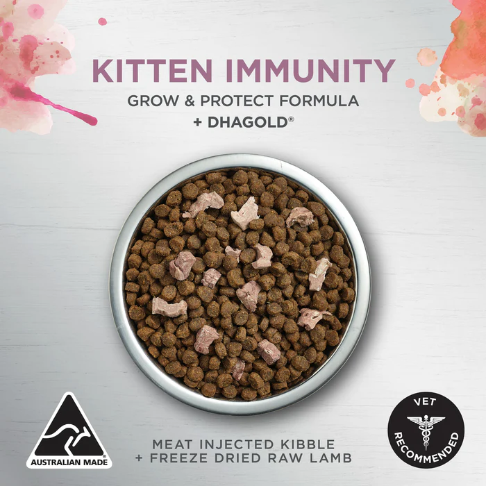 Ivory Coat Kitten Immunity Chicken with Freeze Dried Raw Lamb 2kg