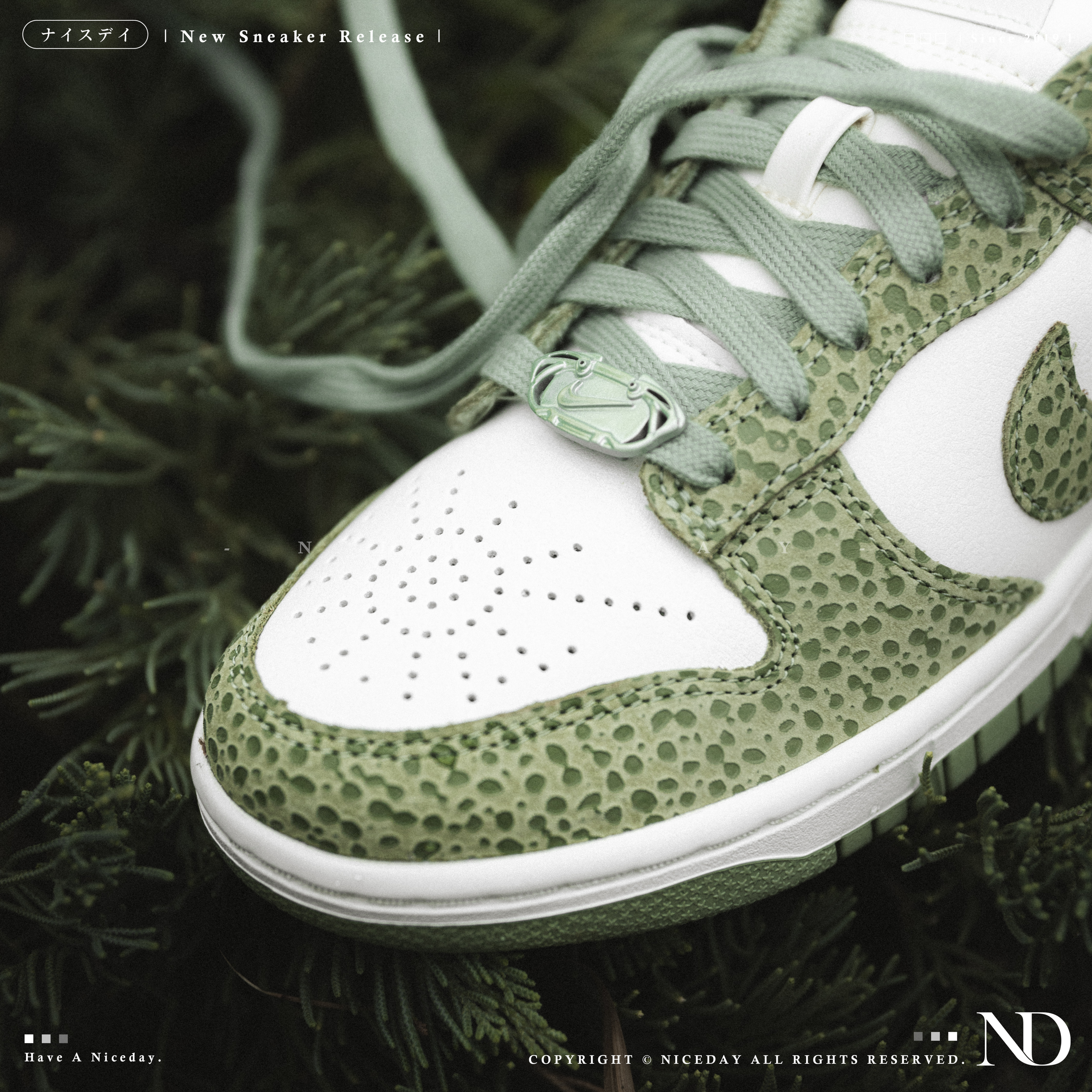 NICEDAY 現貨 Nike Dunk Low 豹紋 白綠 女款 FV6516-300