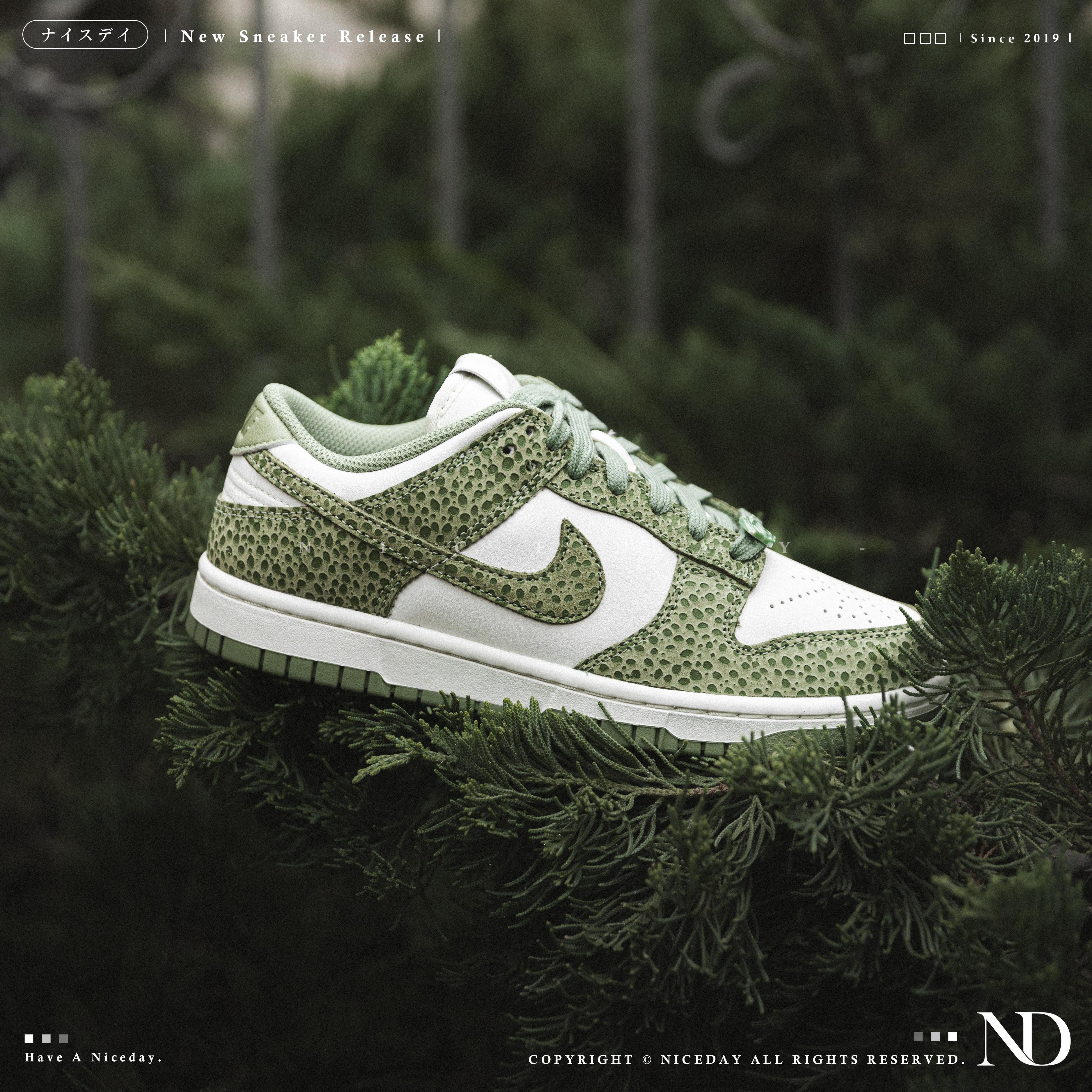 NICEDAY 現貨 Nike Dunk Low 豹紋 白綠 女款 FV6516-300