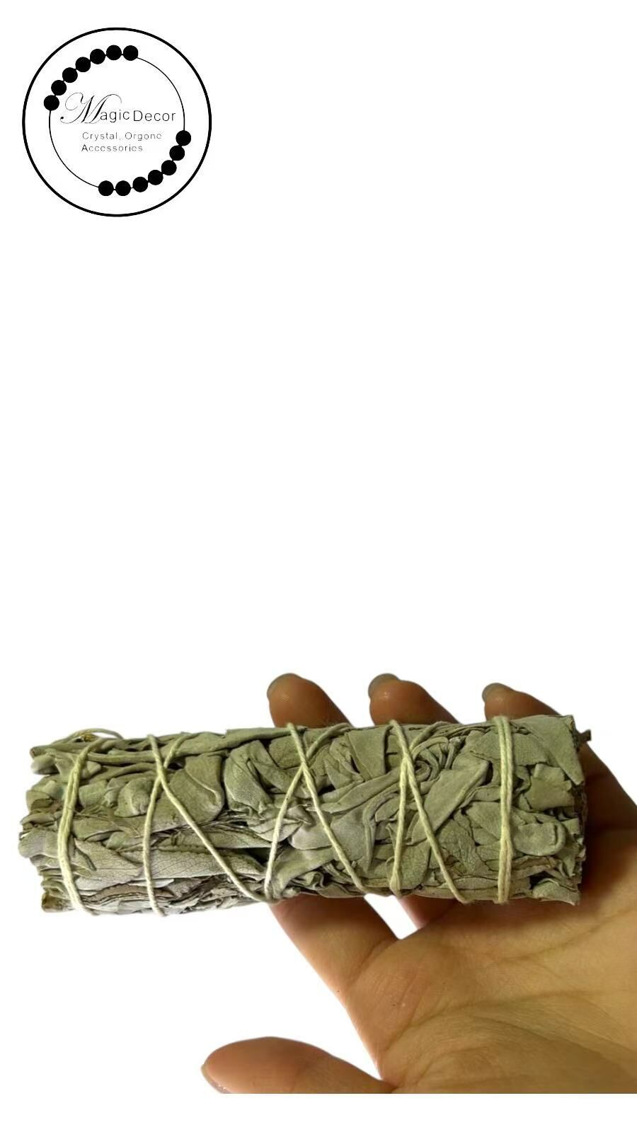 260117 - C86 美國鼠尾草1捆（小尺寸）