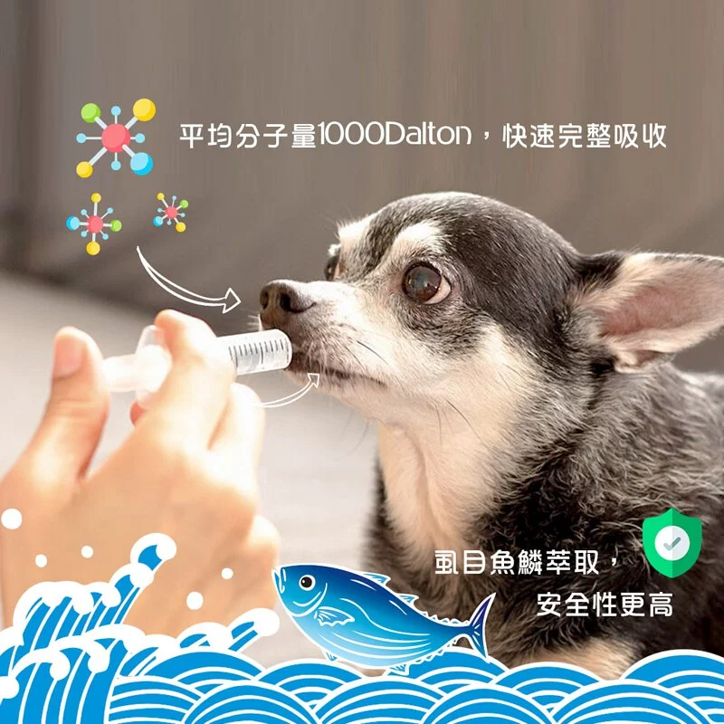 DDY - 胜肽膠原蛋白-飲 (20ml x 5支裝) (貓狗通用)