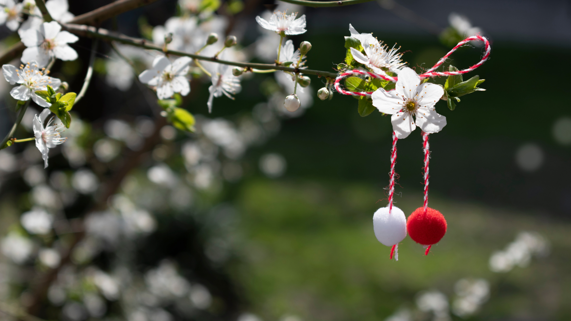 立春節氣養生指南