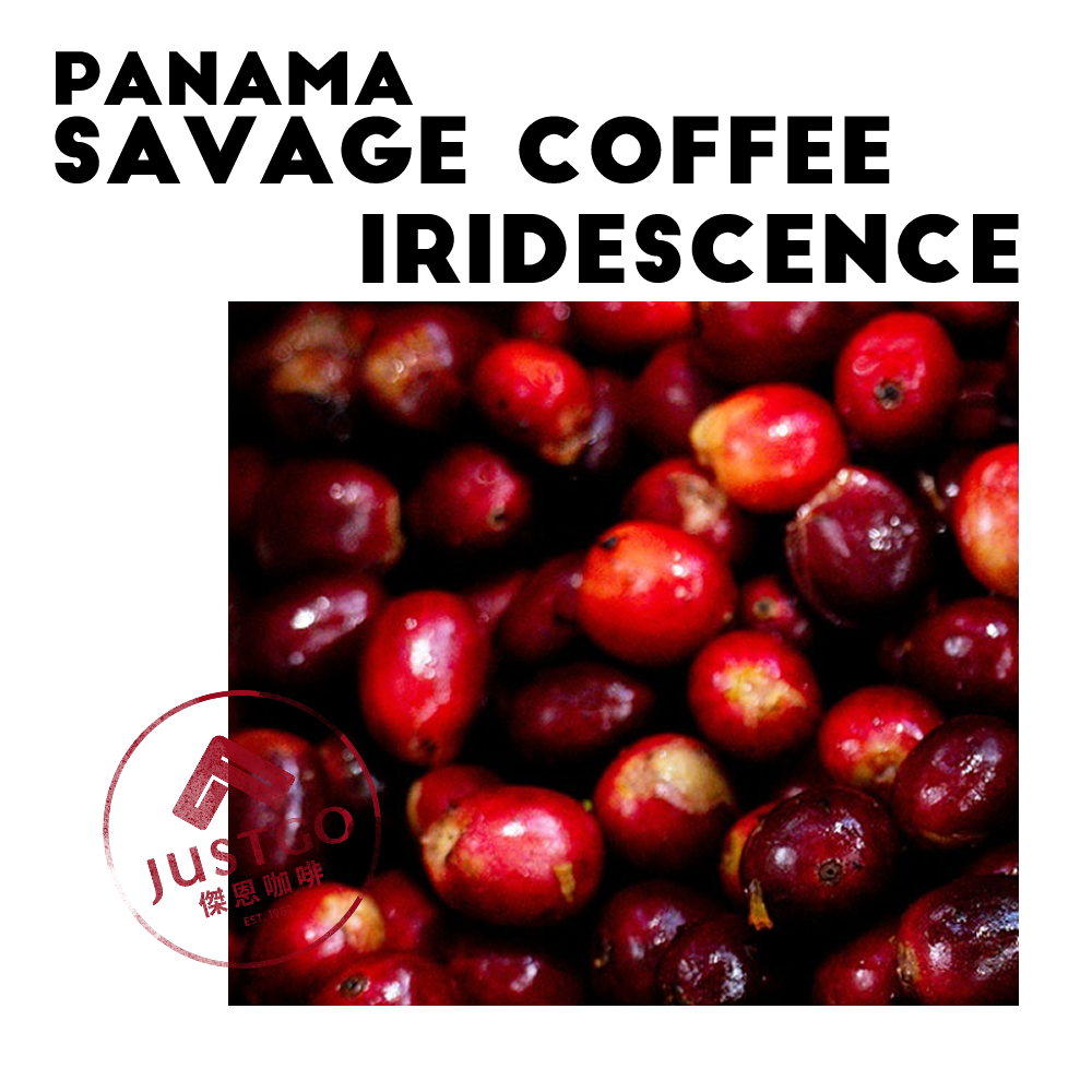 [生豆] 巴拿馬 Savage Coffee Iridescence（彩虹）GESHA 二氧化碳浸漬 延⾧發酵水洗