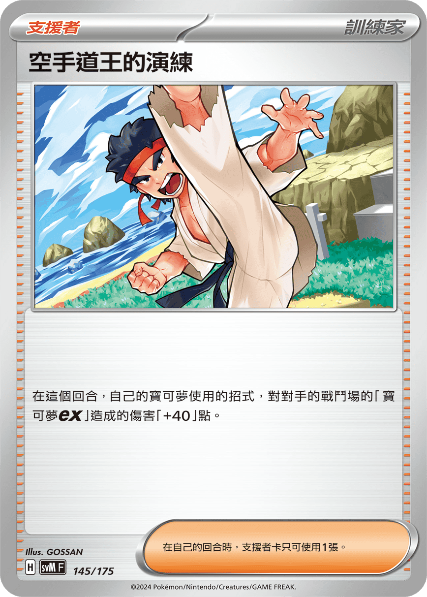 SVMF 145/175 空手道王的演練