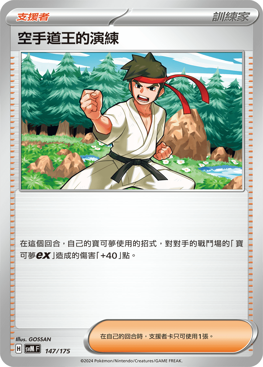 SVMF 147/175 空手道王的演練