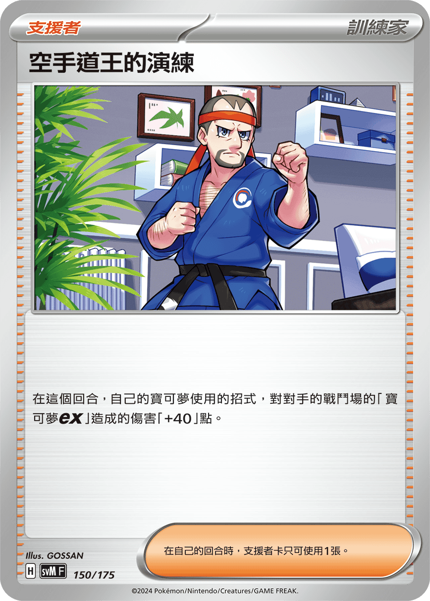 SVMF 150/175 空手道王的演練