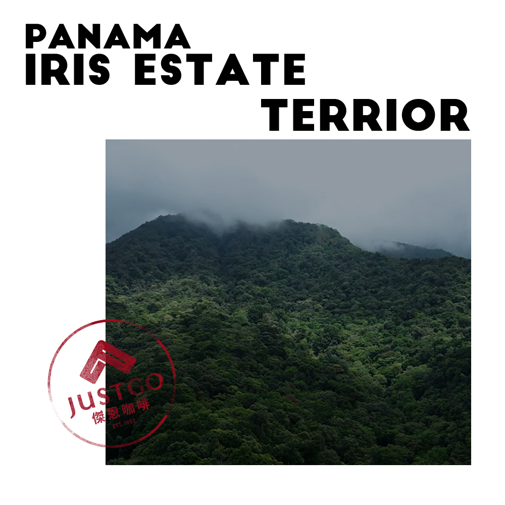 [生豆] 巴拿馬 Iris Estate Terrior（風土）GESHA 水洗